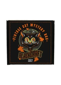 Vintage Cat Mystery Box